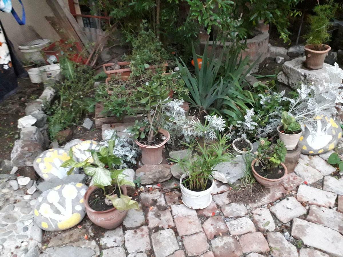 Appartamento Cozy House II Tbilisi Esterno foto